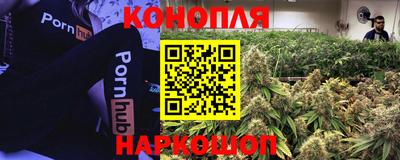 a pvp Обнинск