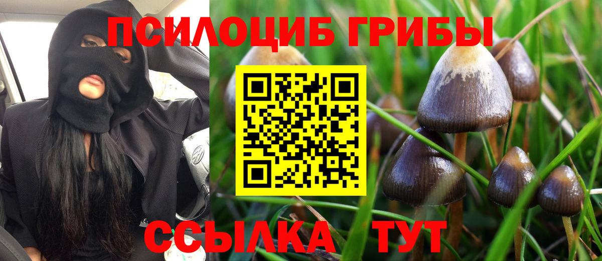 Галлюциногенные грибы мухоморы Сосновый Бор