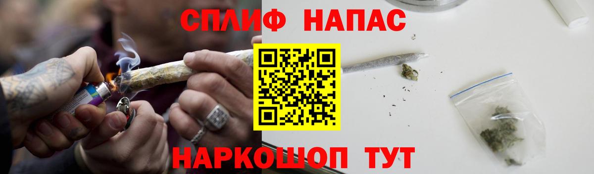 Канабис MAZAR Сосновый Бор
